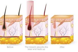 تصویر اسلاید 3